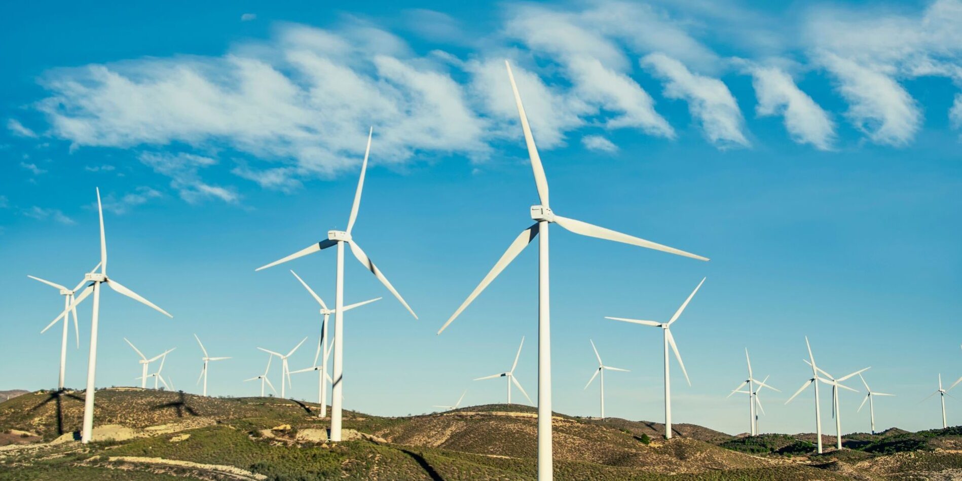Sector Eólico – 1